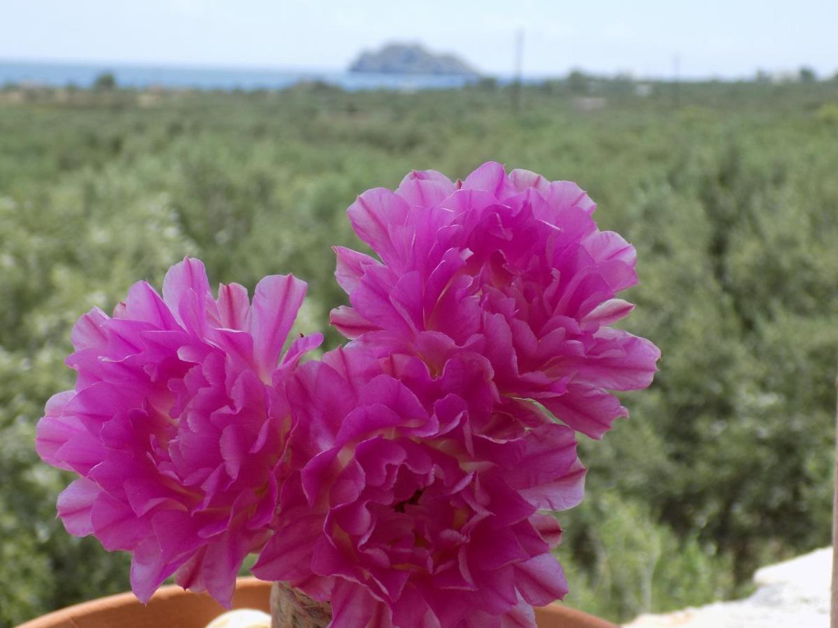 Alkionides Villas Villa *
