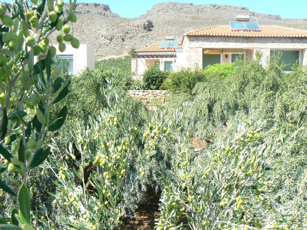 Alkionides Villas * Xerokampos (Crete)