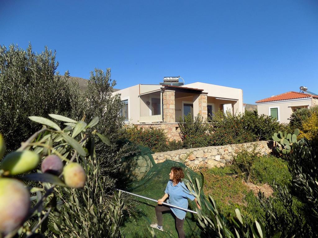 Alkionides Villas * Xerokampos (Crete)