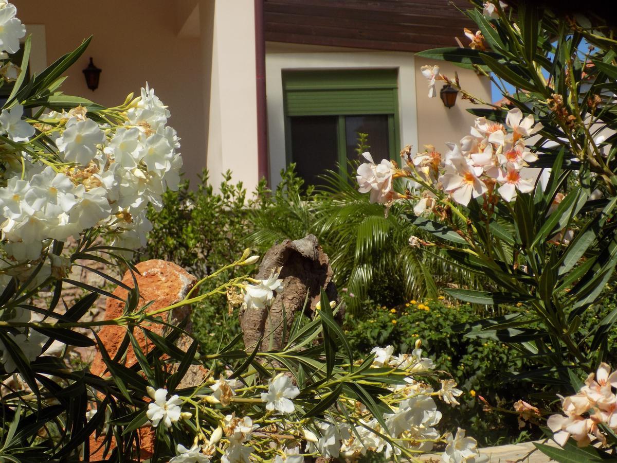 Villa Alkionides Villas Xerokampos (Crete)
